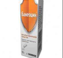 Baneotsin прах: инструкции за употреба
