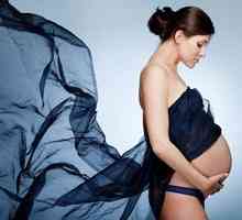 Бременност подмладява организма и не засяга интелигентността