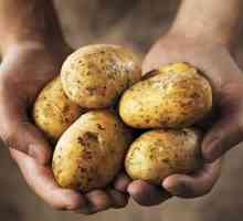 Бременните жени трябва да се ограничи консумацията на ястия, приготвени от картофи
