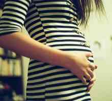 Четвъртият месец на бременността