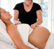 Защо бременни са предписани камбанки?