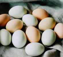 Ежедневната консумация на яйца не причинява сърдечни удари