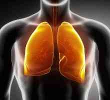 Дихателни пътища инфекции