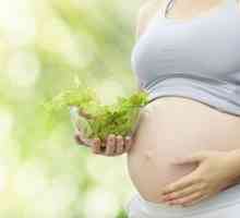 Храни с витамин D в диетата на бременни жени с цел защита на децата от алергии
