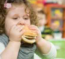 Заведения и ресторанти предизвиква затлъстяване при децата