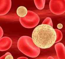Намалените нива на белите кръвни клетки