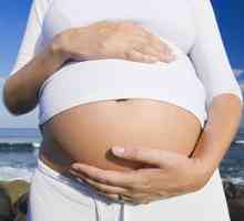Шести месец от бременността