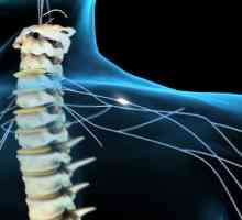 Възстановяване технологии дишането при хора с увреждания на гръбначния стълб