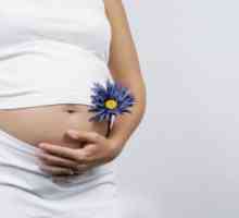 Трансплантация на матката е в състояние да даде на жените радостта от майчинството
