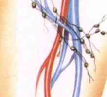 Подути лимфни възли в слабините при мъже и жени