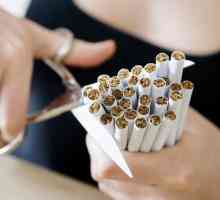 СЗО: брой на жертвите на тютюн през тази година ще достигне 6 милиона