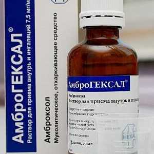 Ambrogeksal разтвор инхалация инструкции за употреба
