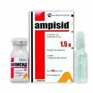 Ampisid прах за инжекционен разтвор: инструкции за употреба