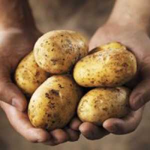 Бременните жени трябва да се ограничи консумацията на ястия, приготвени от картофи