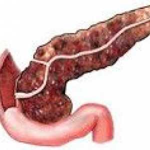 Pancreatolysis