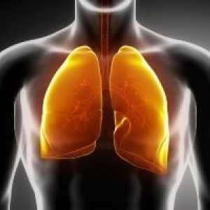 Дихателни пътища инфекции