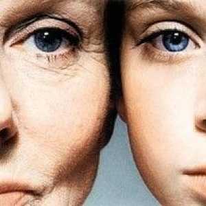 Молекулярна-генетичната теория на стареене