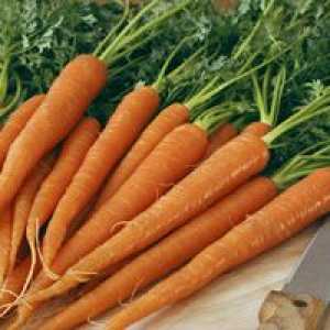Моркови може да предпази от рак на гърдата