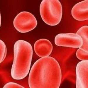 Повишени хемоглобин в кръвта