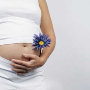 Трансплантация на матката е в състояние да даде на жените радостта от майчинството