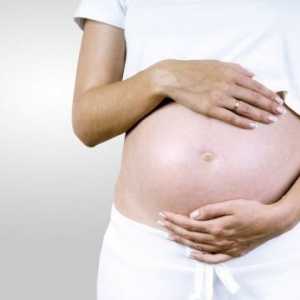 Ureaplasma urealitikum по време на бременност