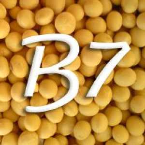 Витамин B7 (биотин)